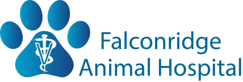 Falconridge Animal Hospital